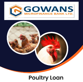 Poultry loan